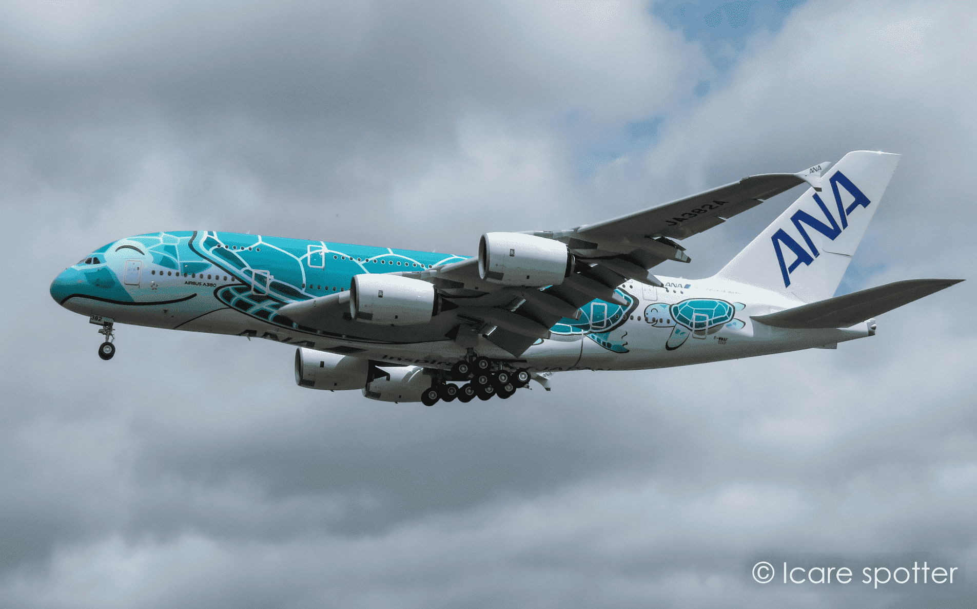 ANA's Blue Flying Honu A380 coming in for landing.