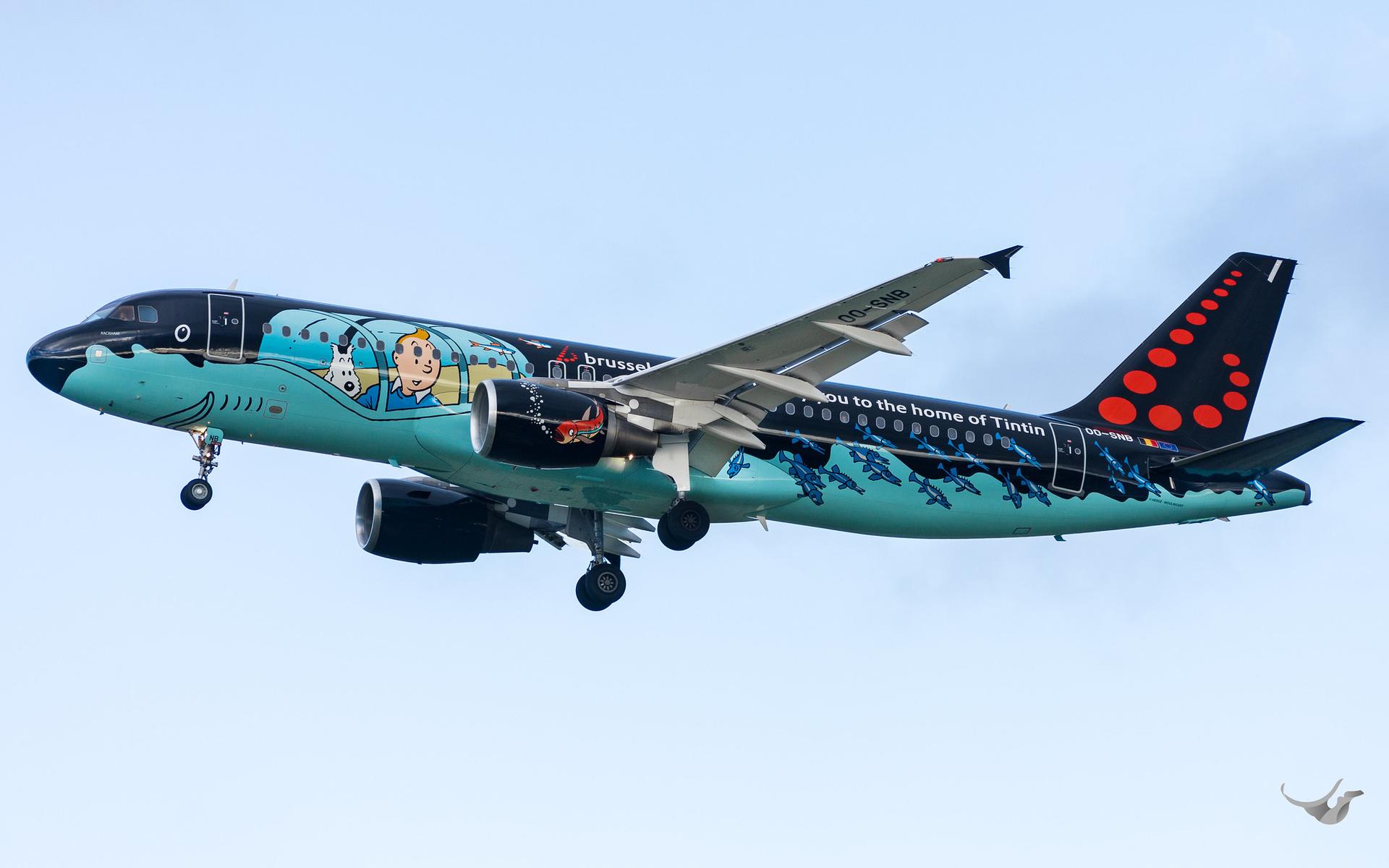 A side-profile view of the Brussels Airlines "Rackham" livery displaying Tintin characters.